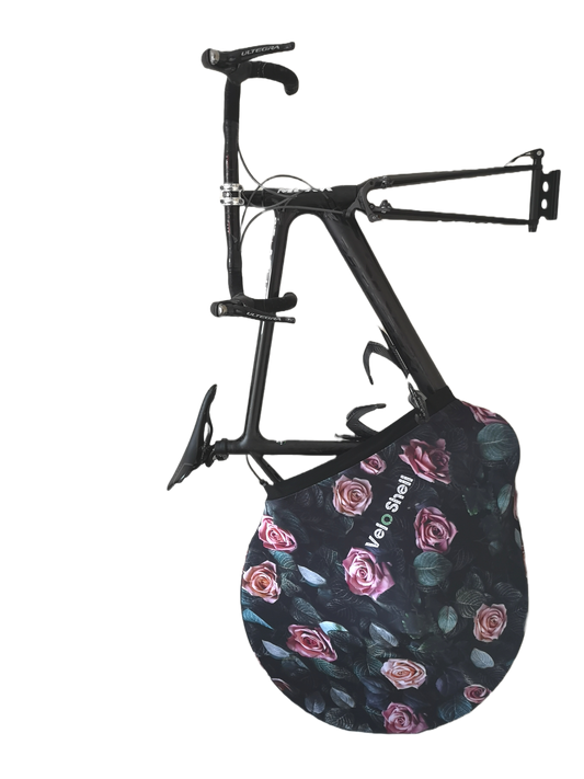 Painted - Bike cover